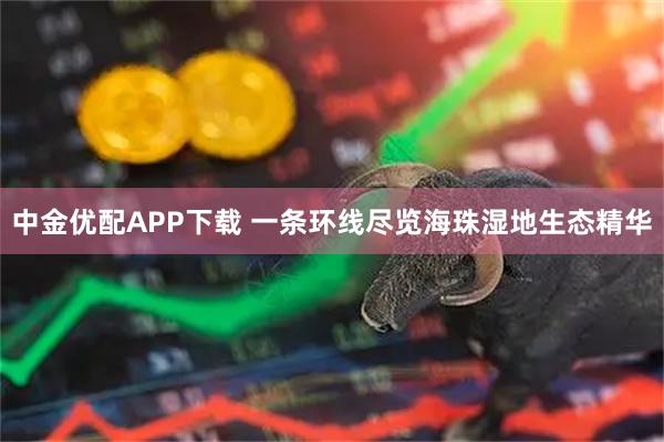 中金优配APP下载 一条环线尽览海珠湿地生态精华