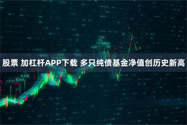 股票 加杠杆APP下载 多只纯债基金净值创历史新高