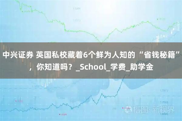中兴证券 英国私校藏着6个鲜为人知的 “省钱秘籍”，你知道吗？_School_学费_助学金