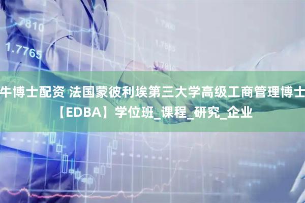 牛博士配资 法国蒙彼利埃第三大学高级工商管理博士【EDBA】学位班_课程_研究_企业