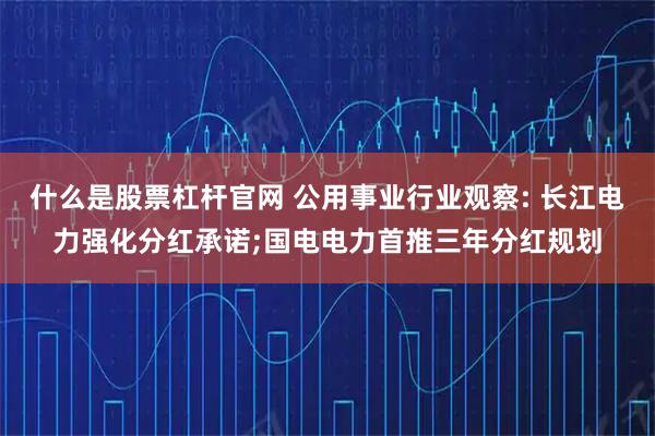什么是股票杠杆官网 公用事业行业观察: 长江电力强化分红承诺;国电电力首推三年分红规划